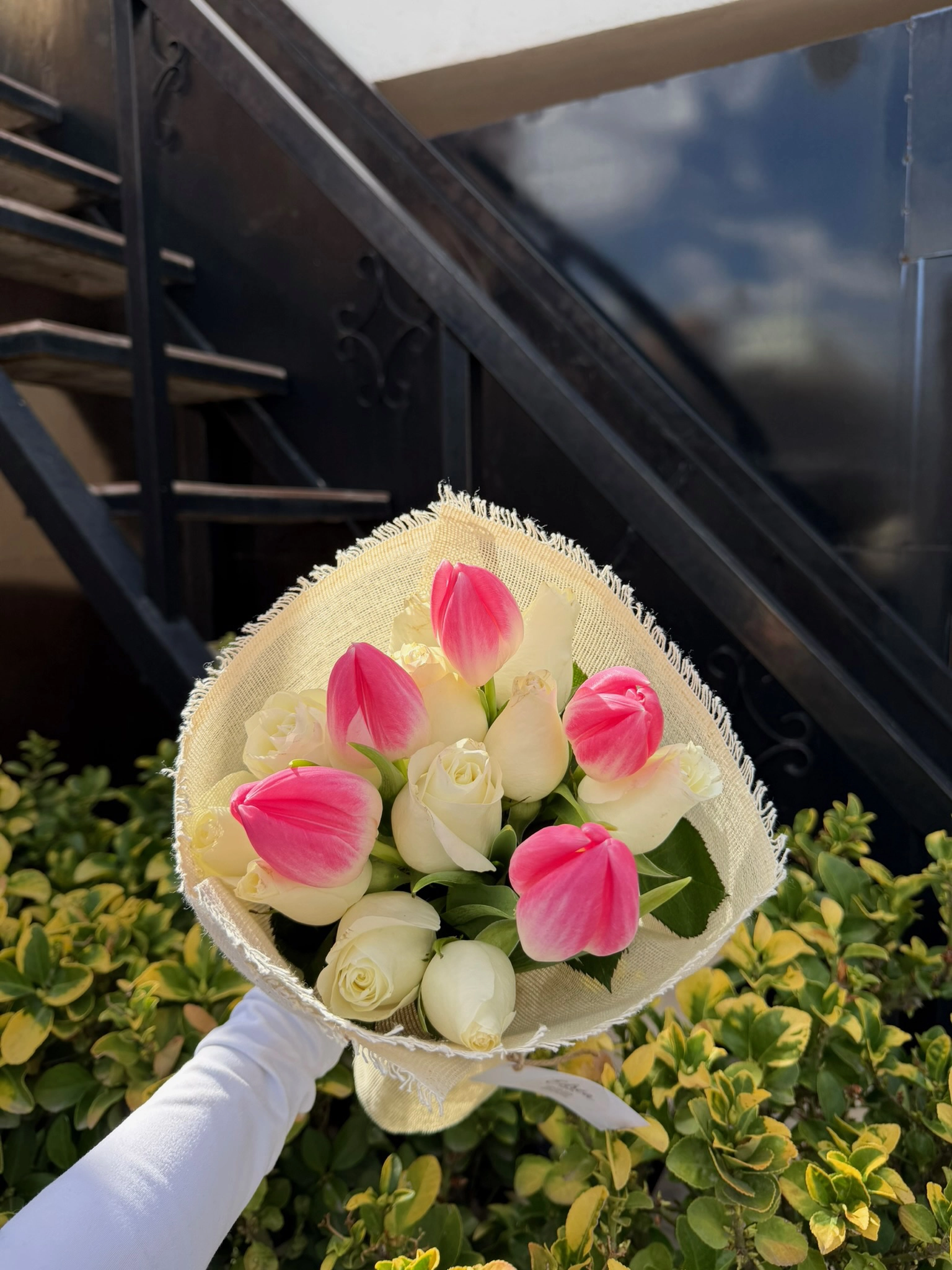 Tulipanes y rosas