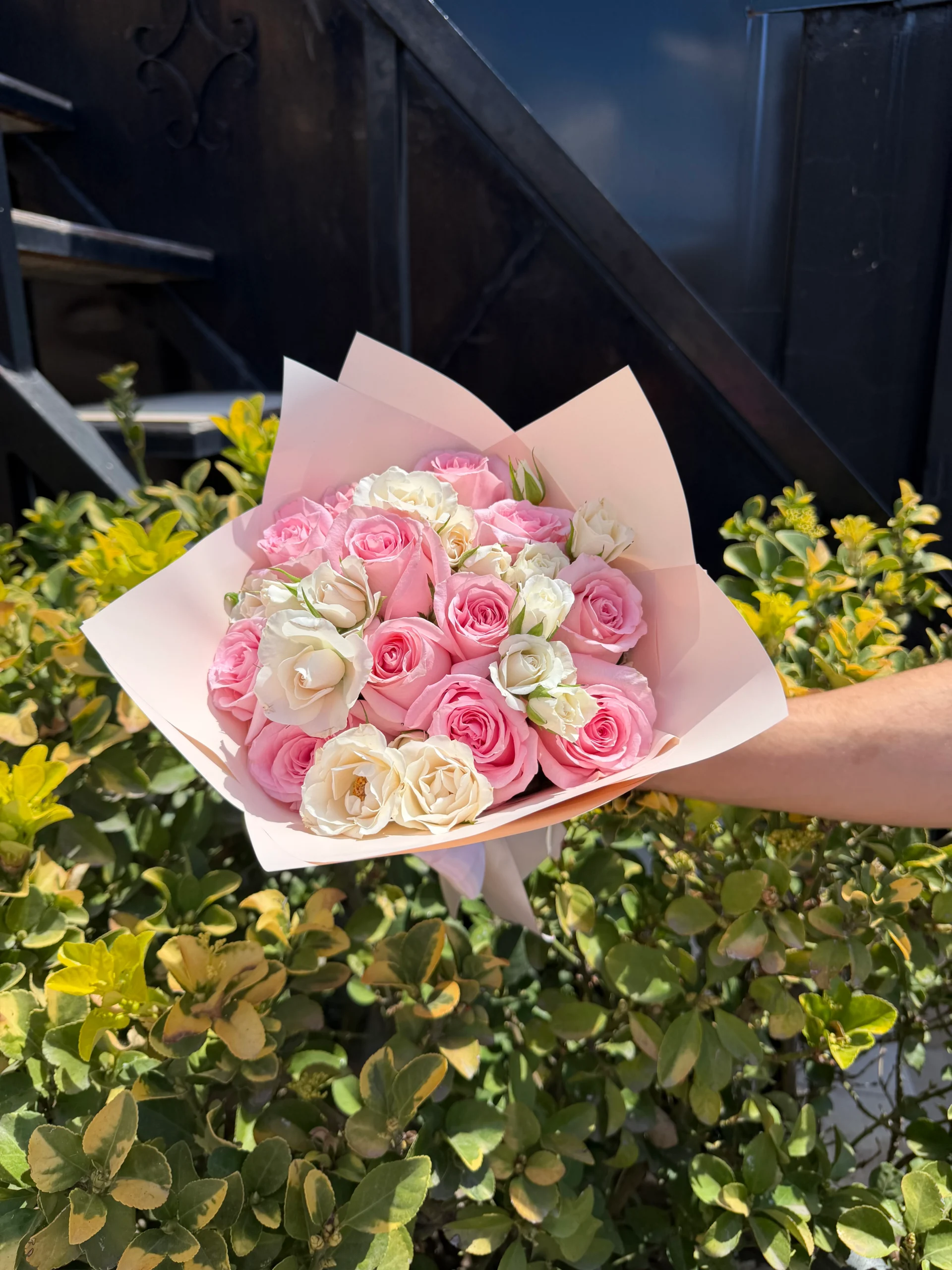 Rosas y Rosas (12 rosas)