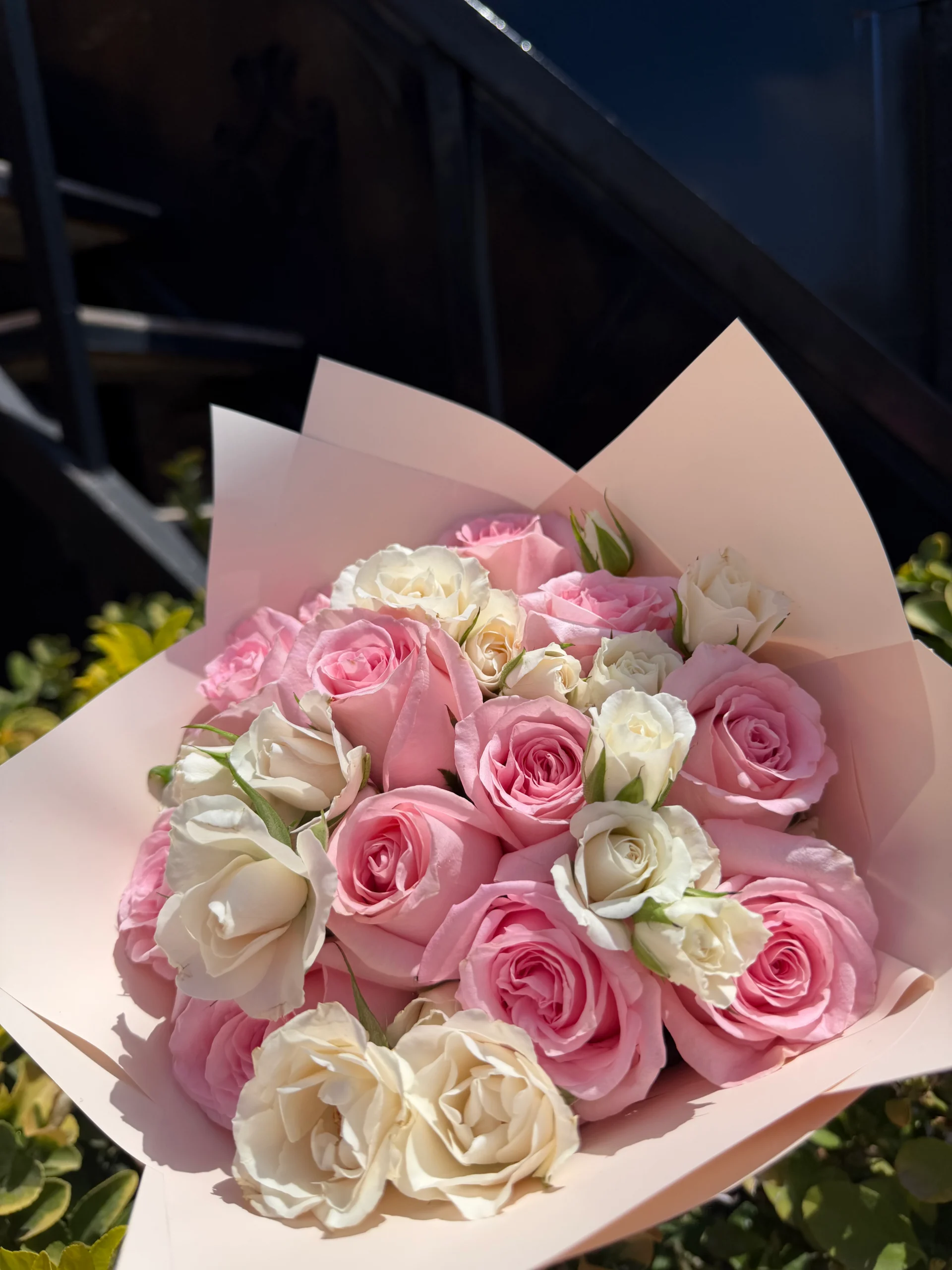 Rosas y Rosas (12 rosas) - Imagen 3
