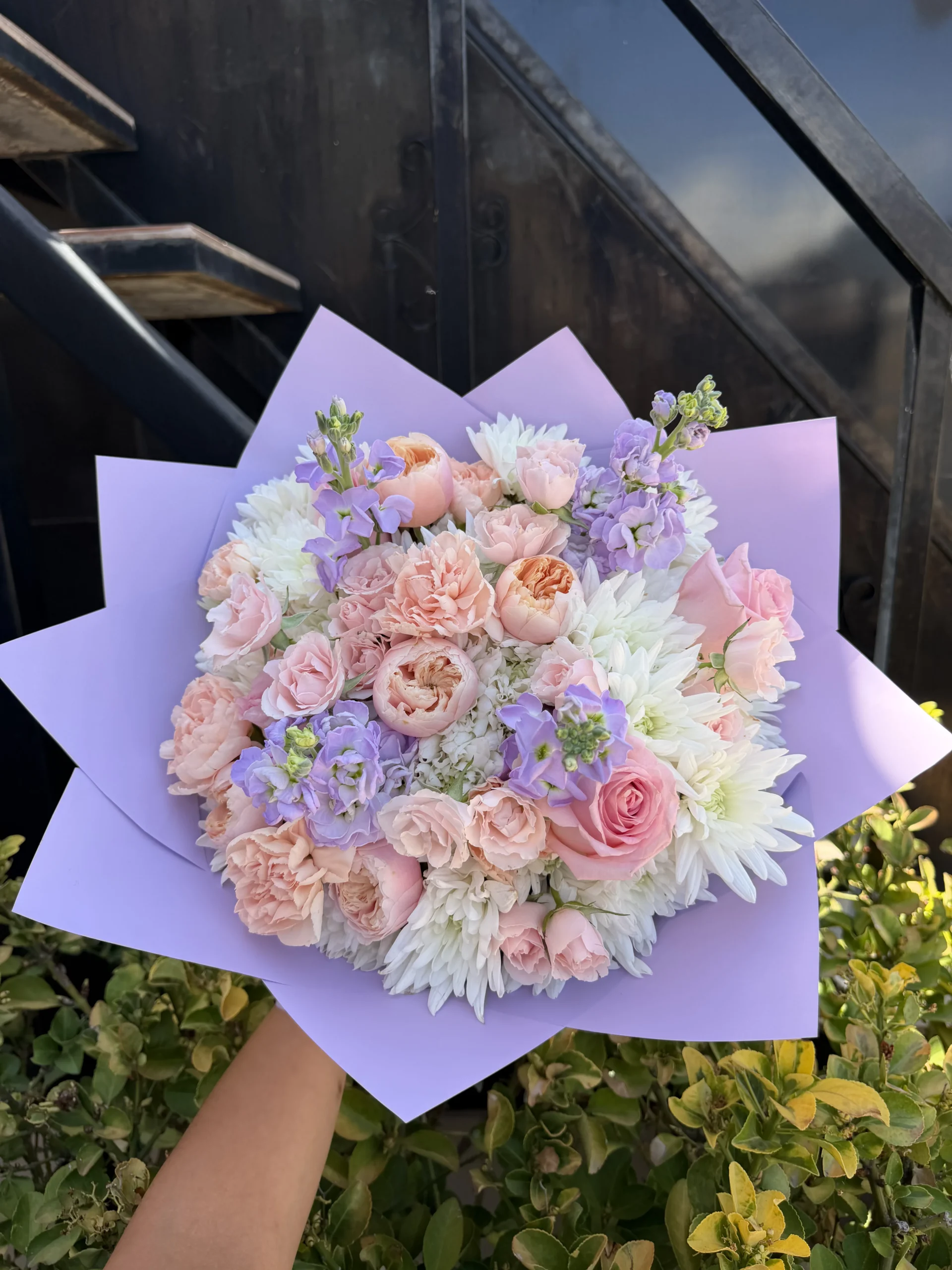 Rosas Inglesas