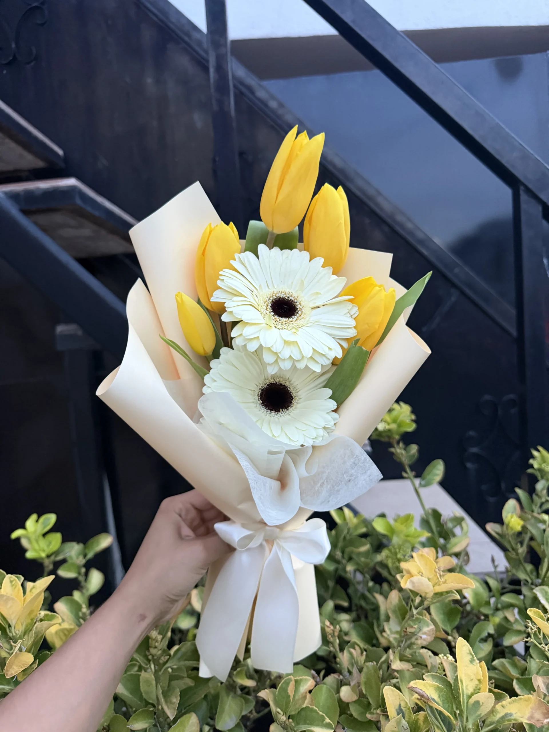 Tulipanes y gerberas
