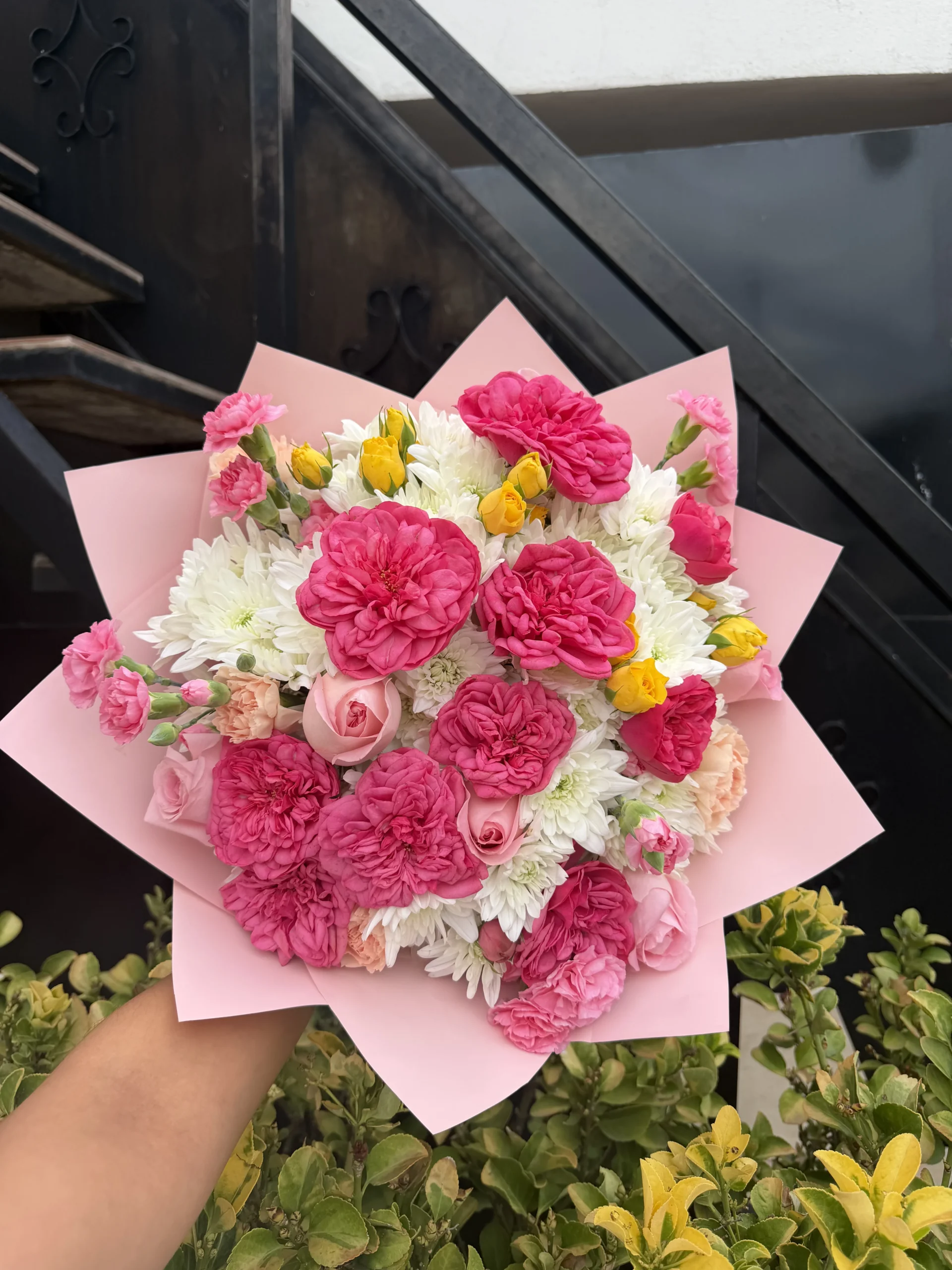 Rosas inglesas