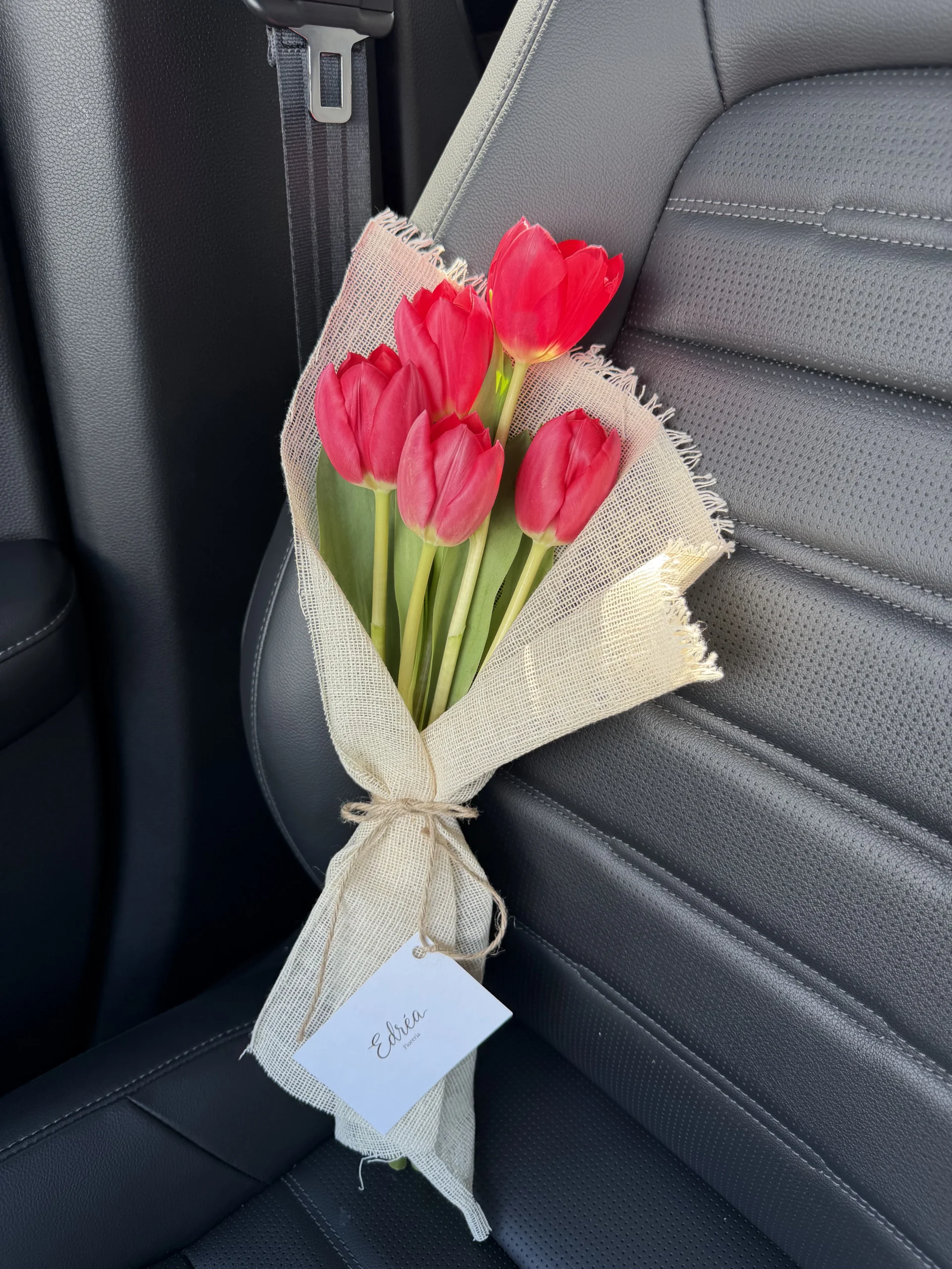 Tulipanes